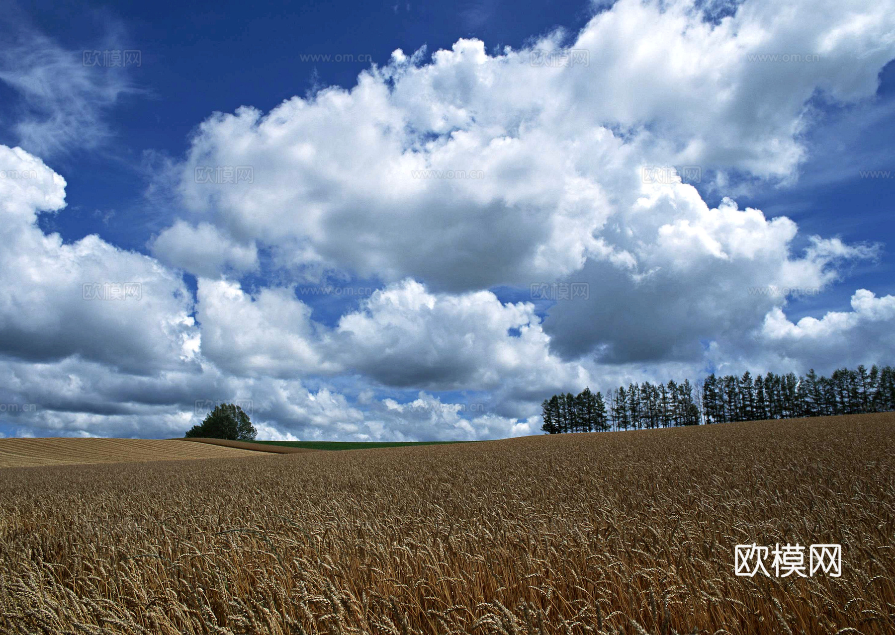 外景 天空 云层 云朵 自然风景 庭院外景 窗外 环境贴图下载