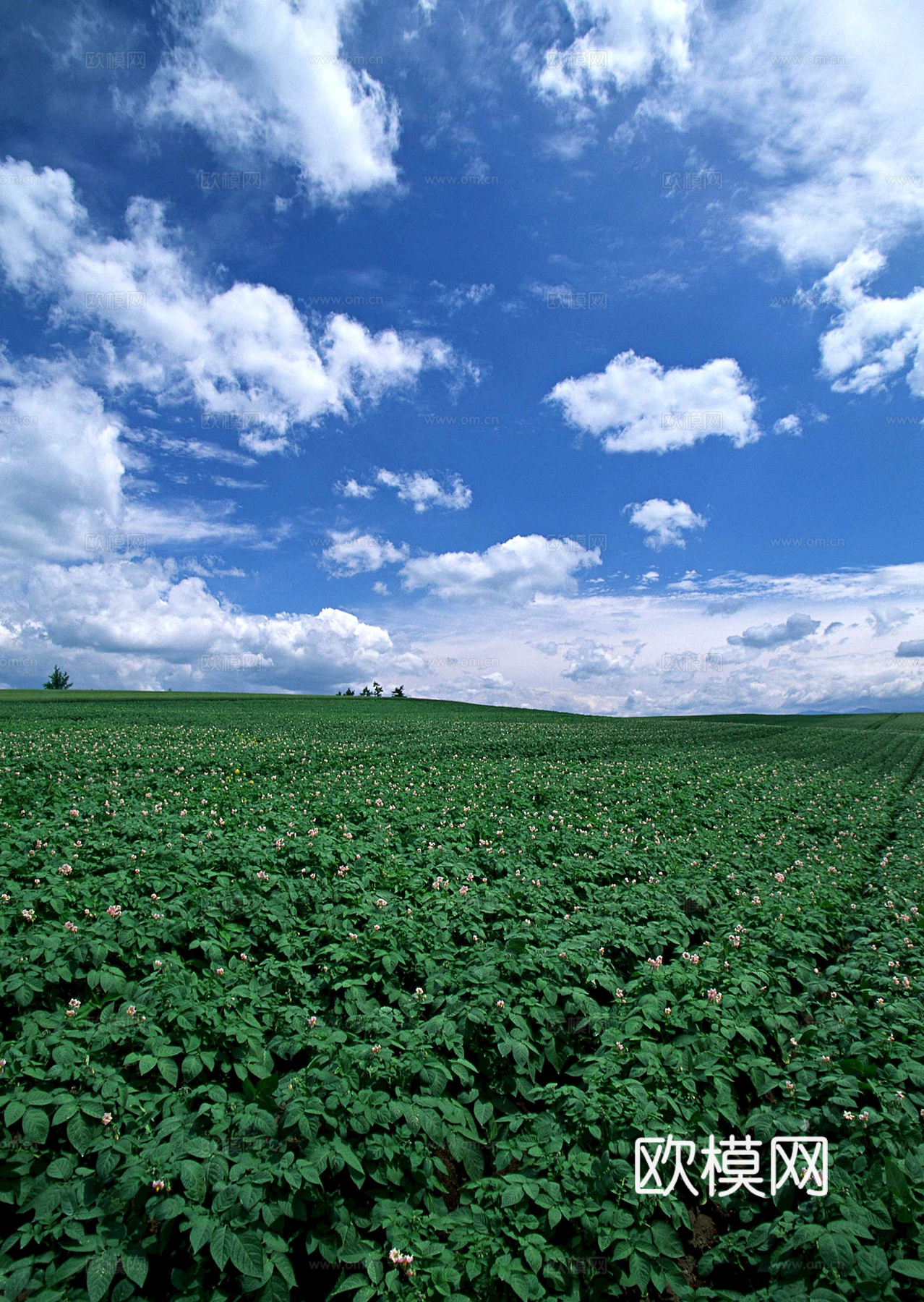 外景 天空 云层 云朵 自然风景 庭院外景 窗外 环境贴图下载