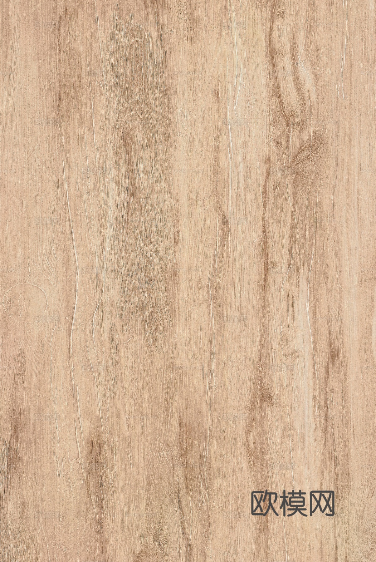 橡木 老木 旧木