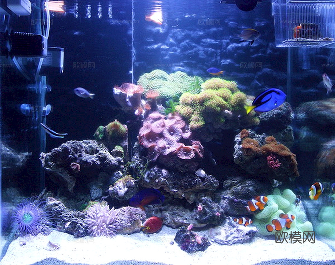 玻璃鱼缸 水族鱼缸水草 养鱼缸下载