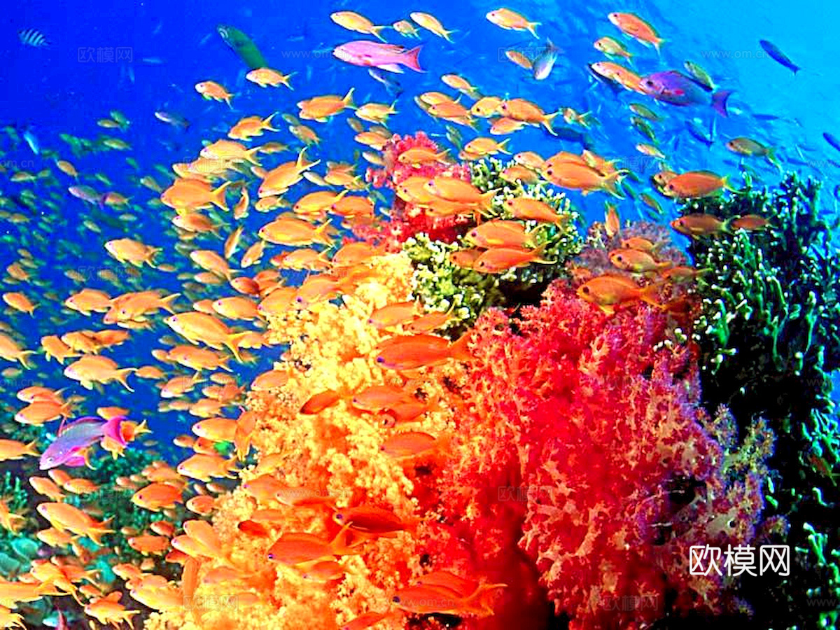 玻璃鱼缸 水族鱼缸水草 养鱼缸下载