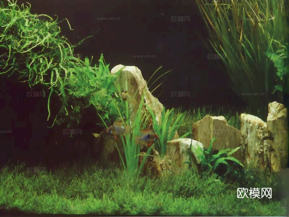 玻璃鱼缸 水族鱼缸水草 养鱼缸下载