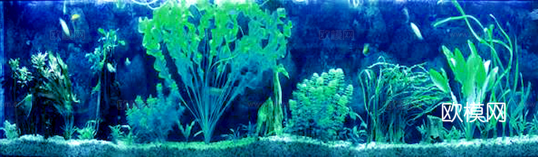 玻璃鱼缸 水族鱼缸水草 养鱼缸下载