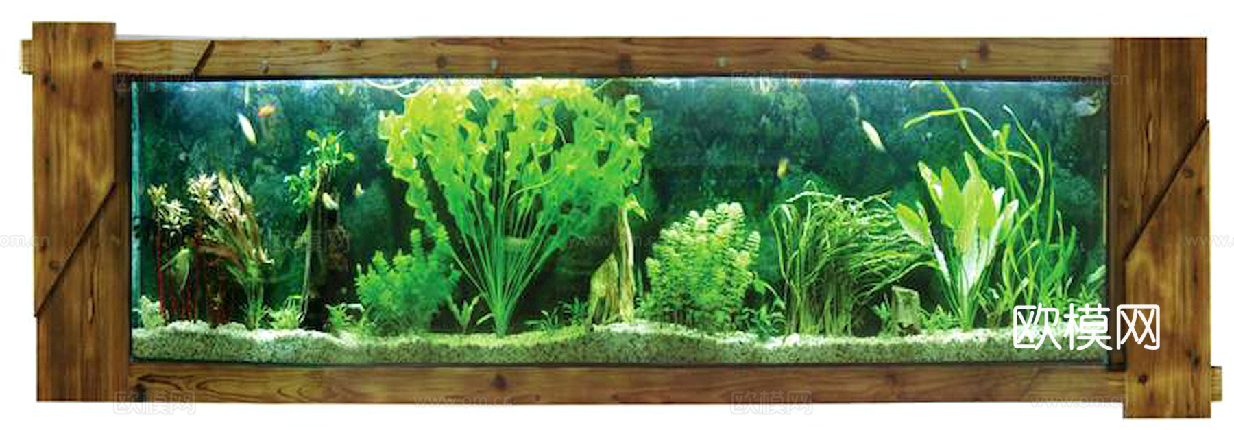 玻璃鱼缸 水族鱼缸水草 养鱼缸下载
