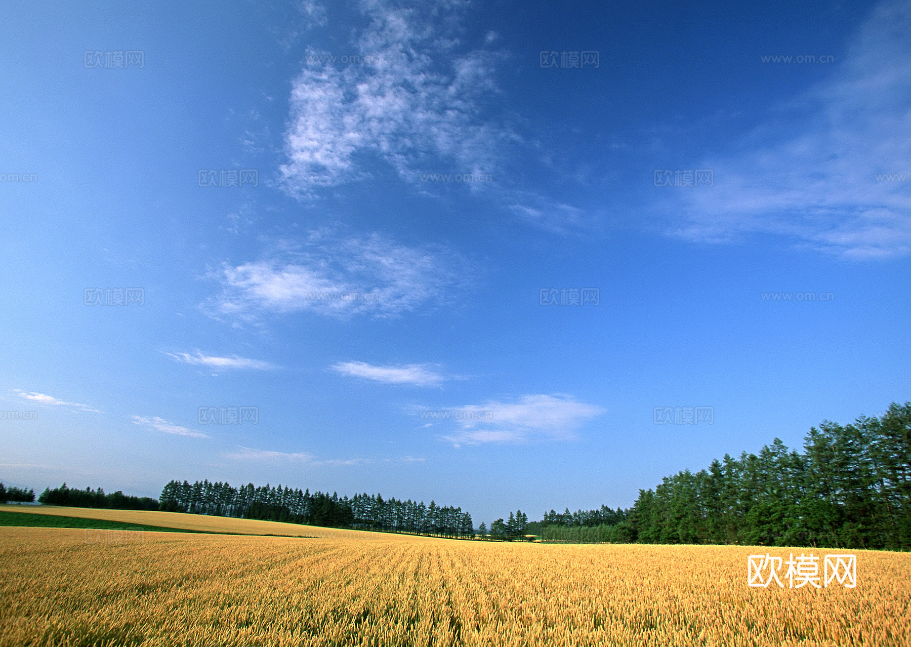 外景 天空 云层 云朵 自然风景 庭院外景 窗外 环境贴图下载