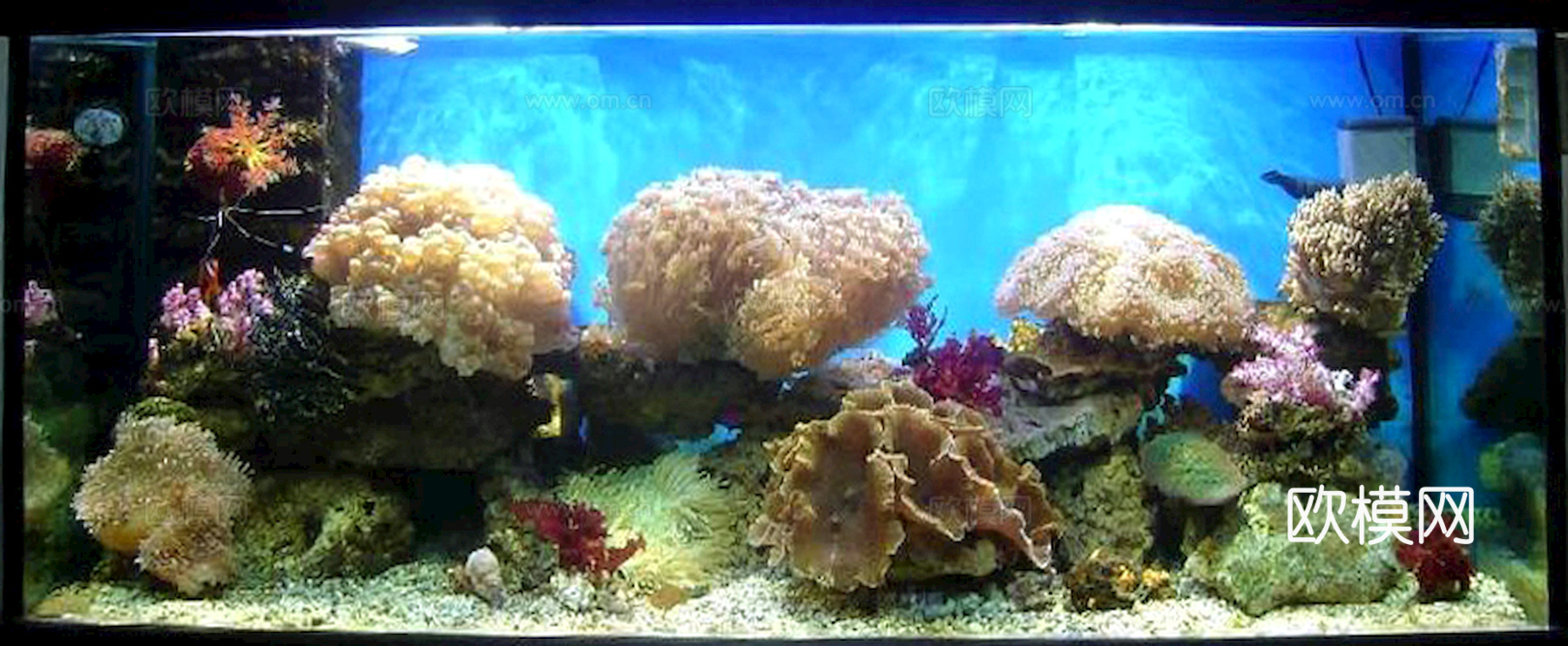 玻璃鱼缸 水族鱼缸水草 养鱼缸下载