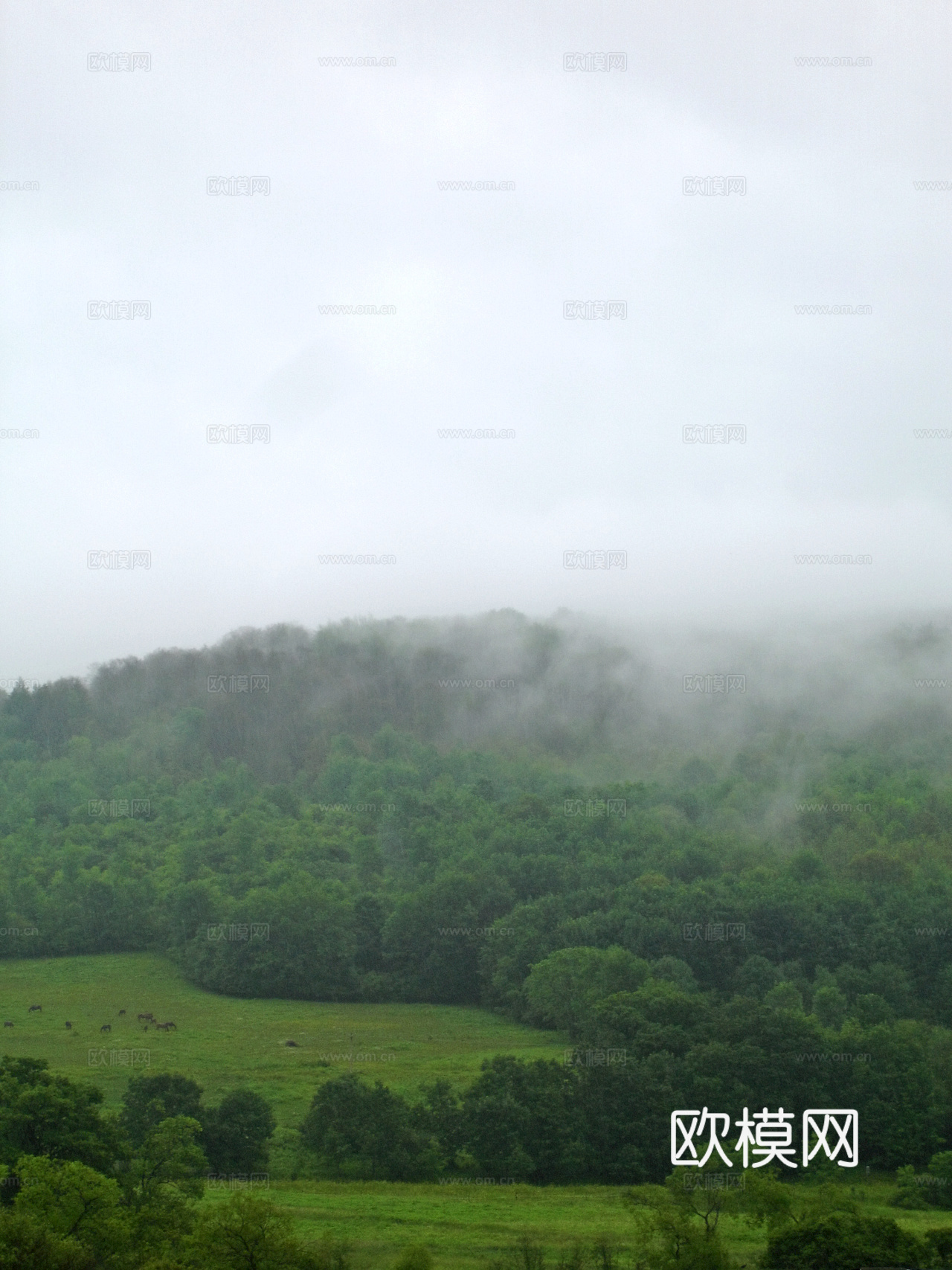 外景 天空 云层 云朵 自然风景 庭院外景 窗外 环境贴图下载