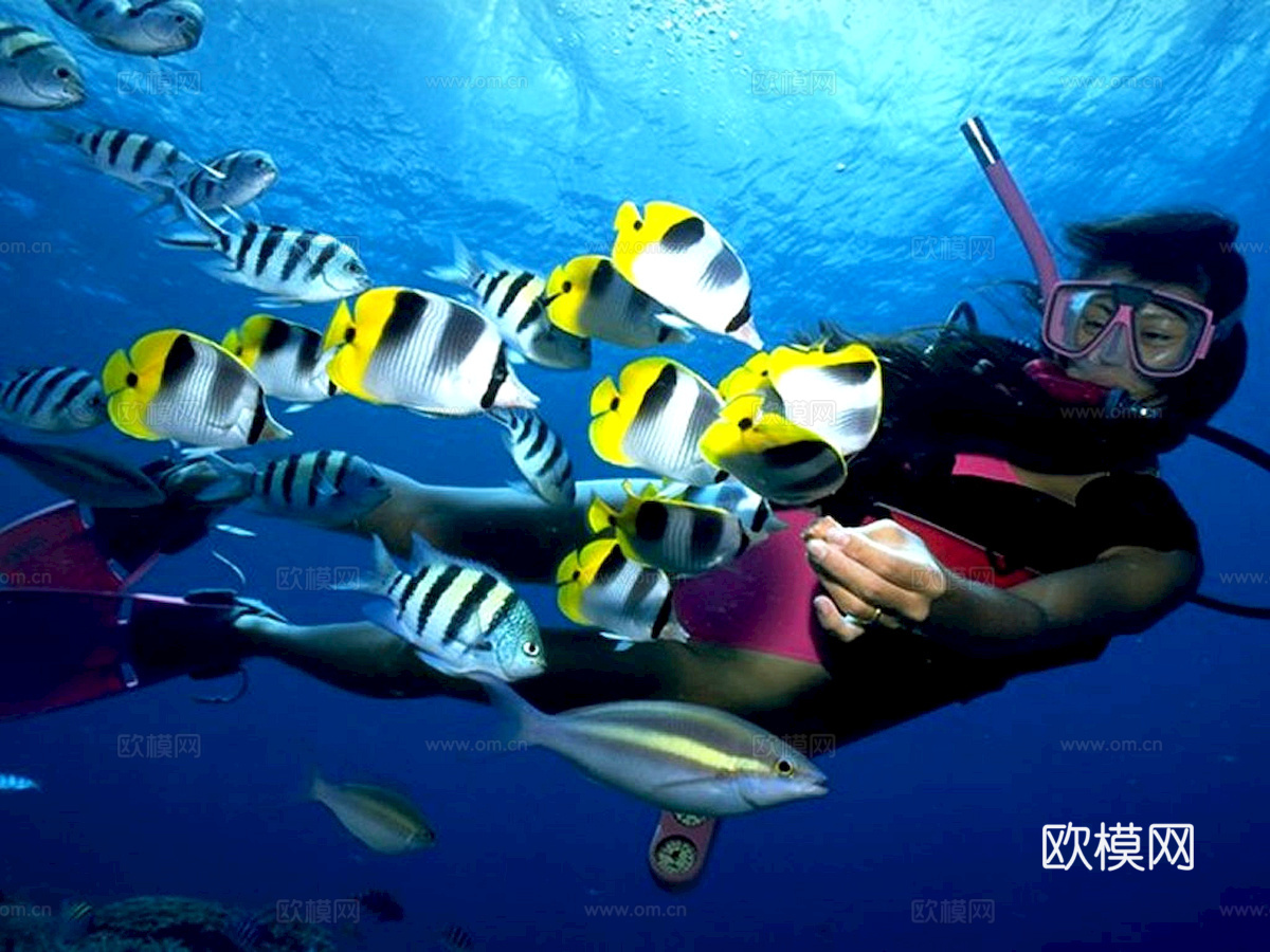 玻璃鱼缸 水族鱼缸水草 养鱼缸下载