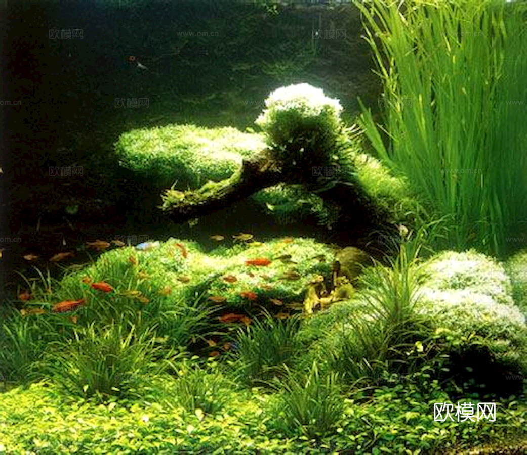 玻璃鱼缸 水族鱼缸水草 养鱼缸下载