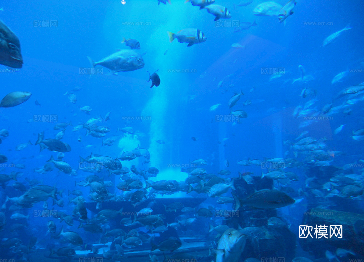 玻璃鱼缸 水族鱼缸水草 养鱼缸