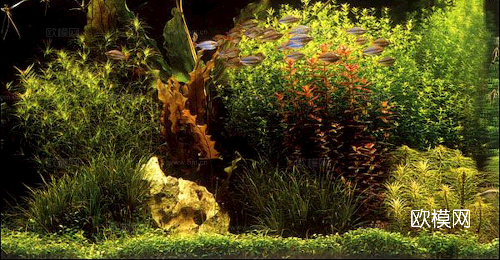 玻璃鱼缸 水族鱼缸水草 养鱼缸下载