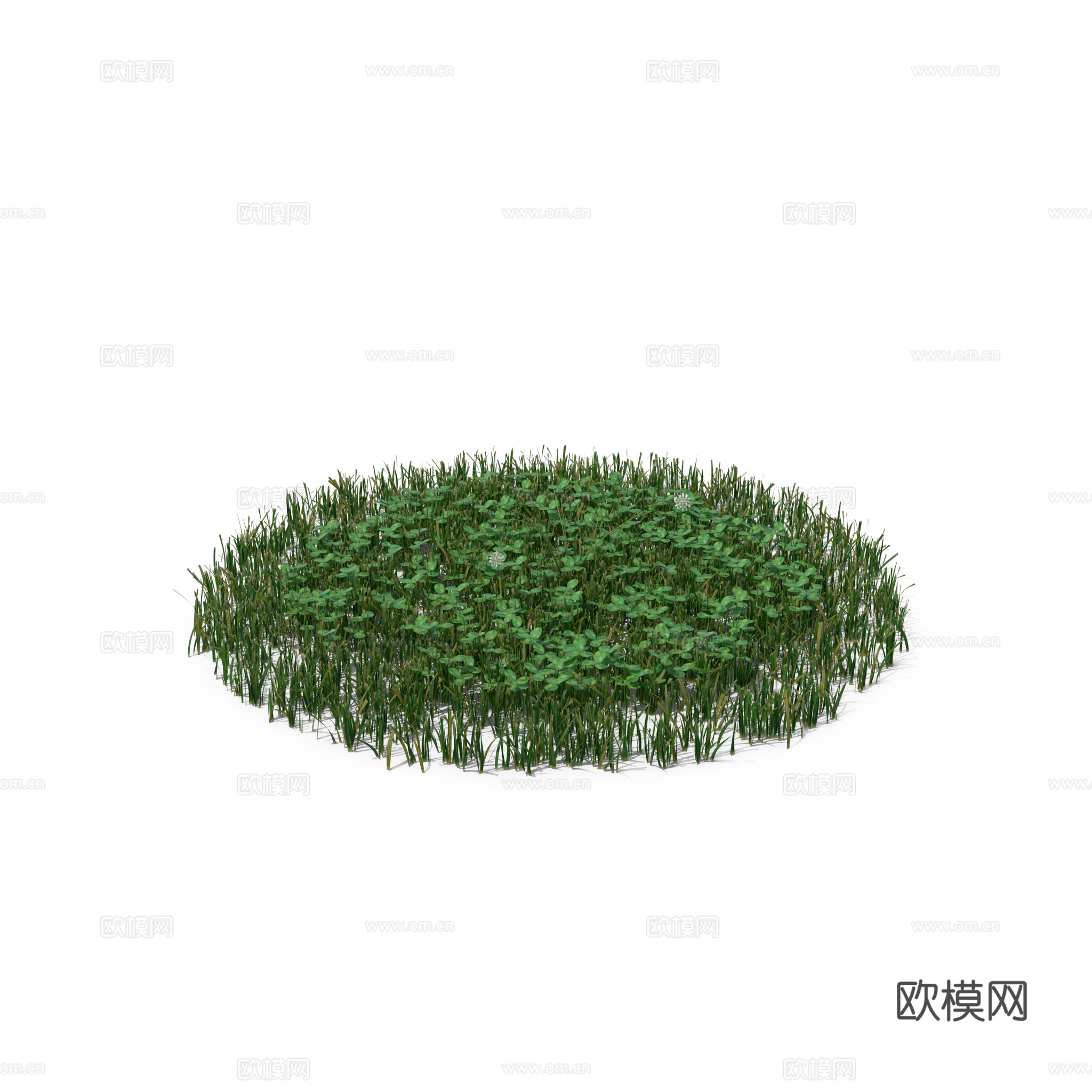 现代花草植物PNG免抠