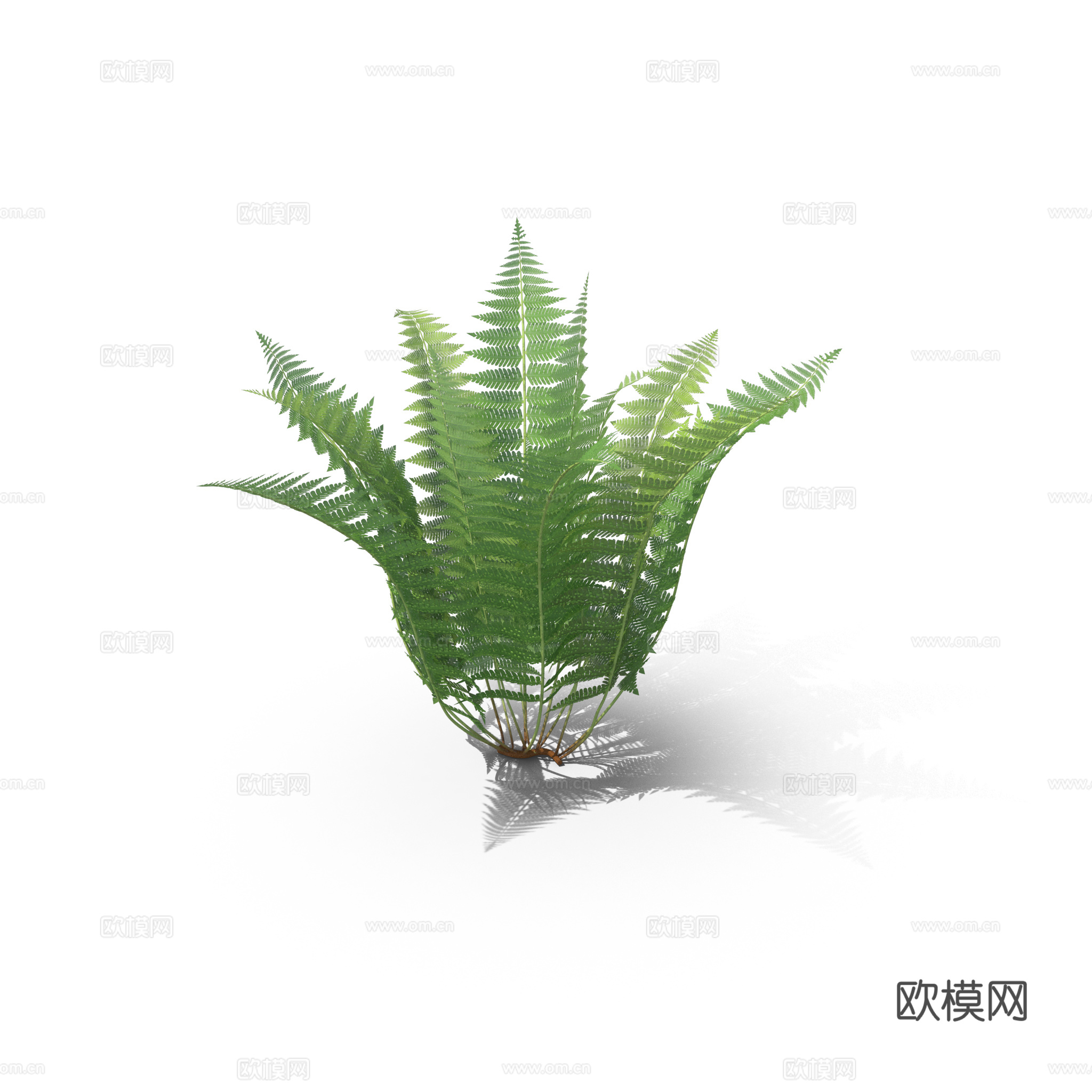 现代花草植物PNG免抠