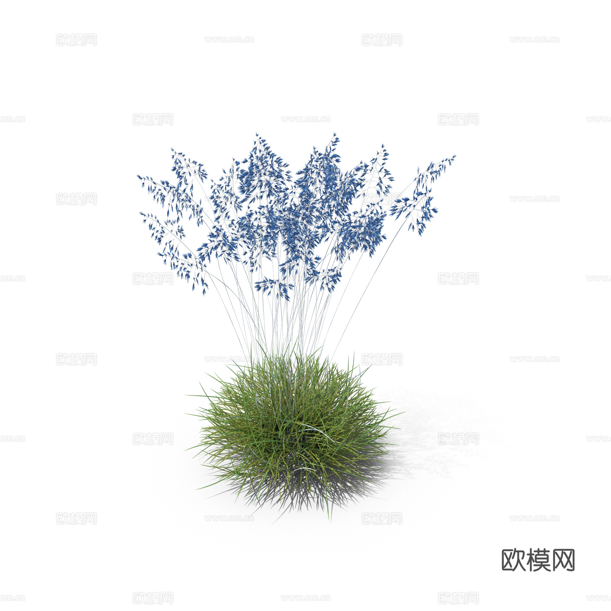 现代花草植物PNG免抠