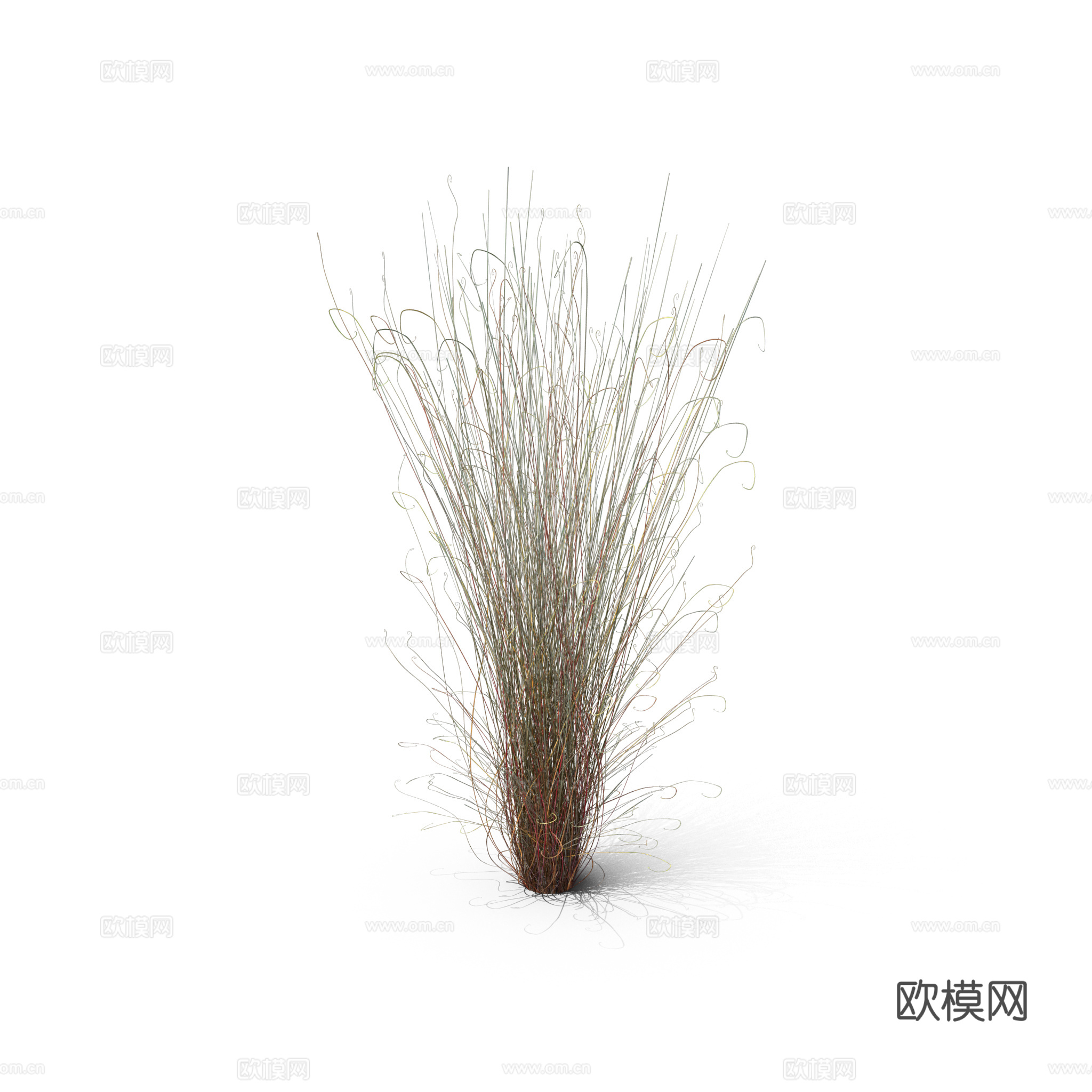 现代花草植物PNG免抠