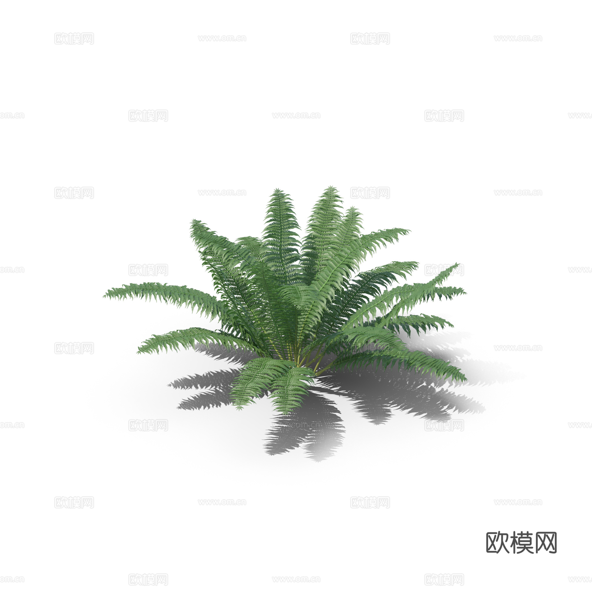 现代花草植物PNG免抠