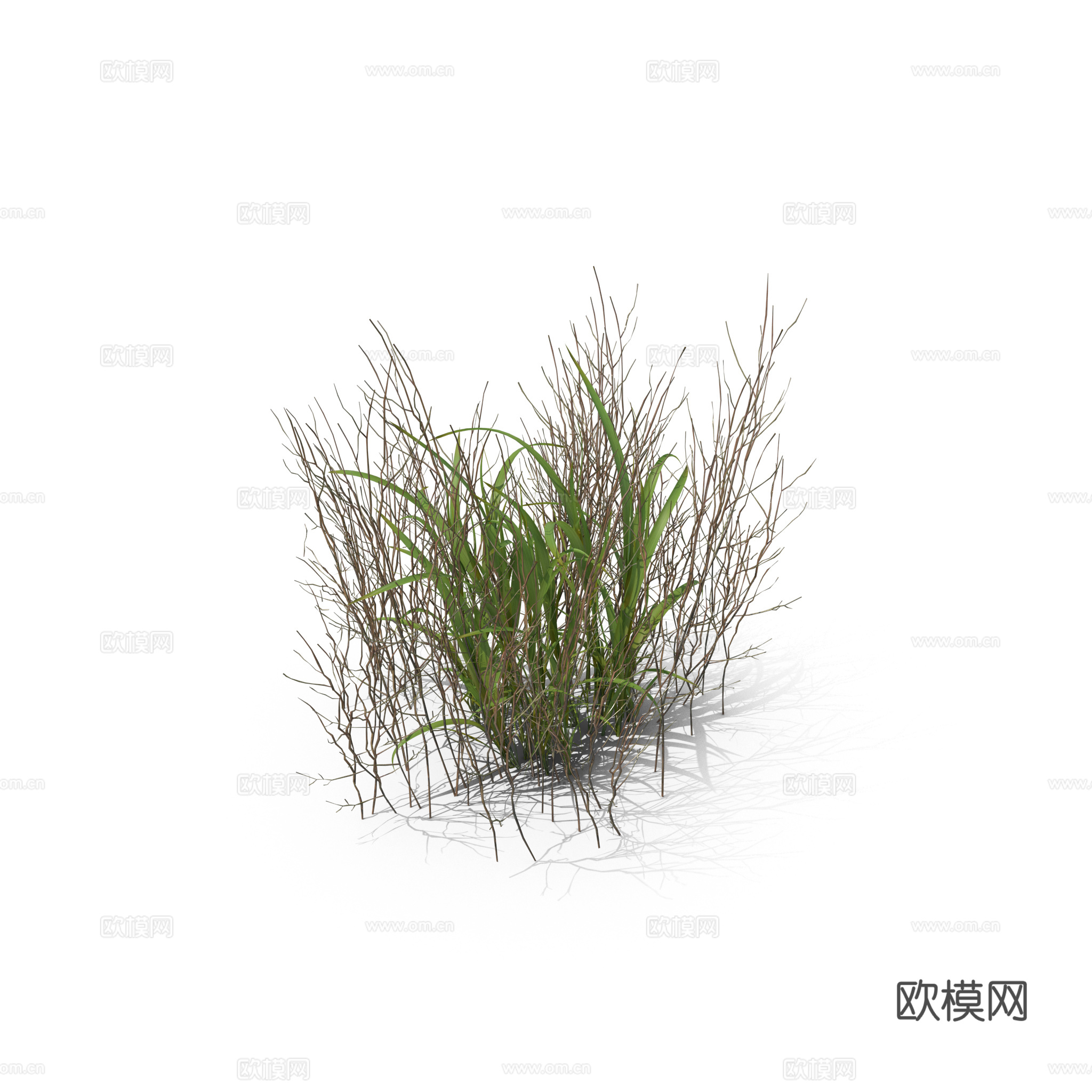 现代花草植物PNG免抠