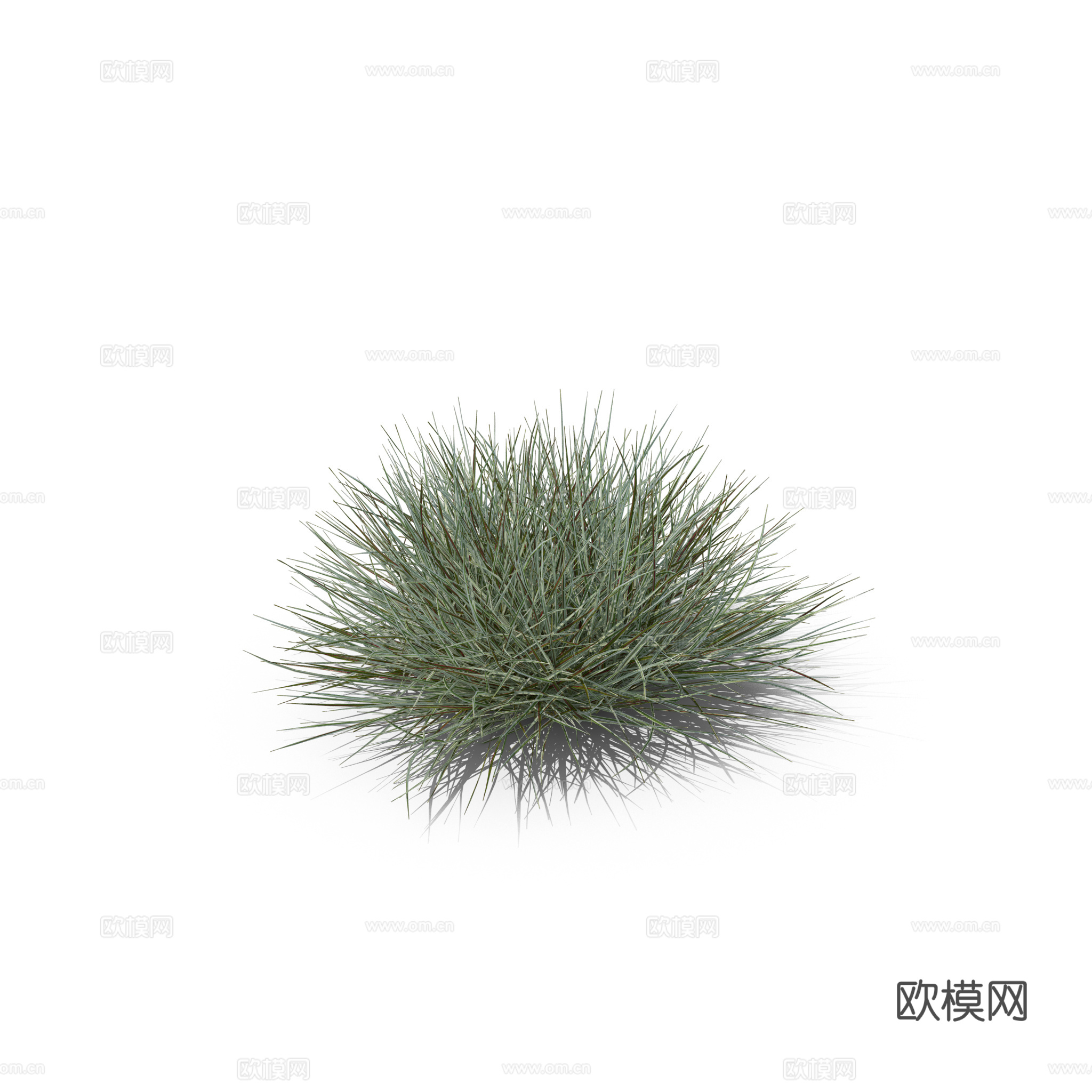 现代花草植物PNG免抠