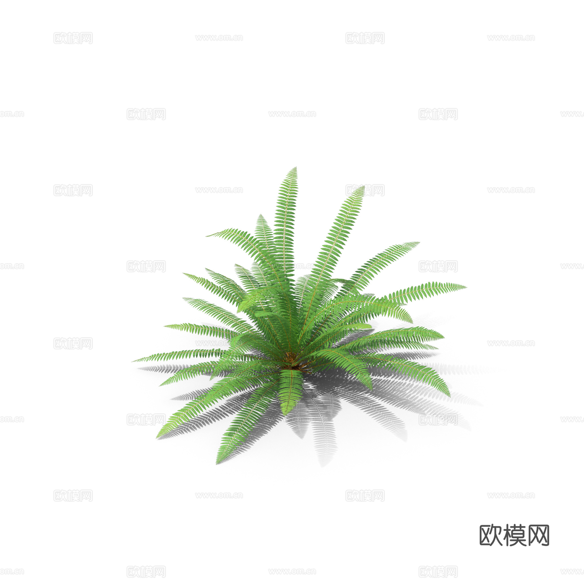 现代花草植物PNG免抠