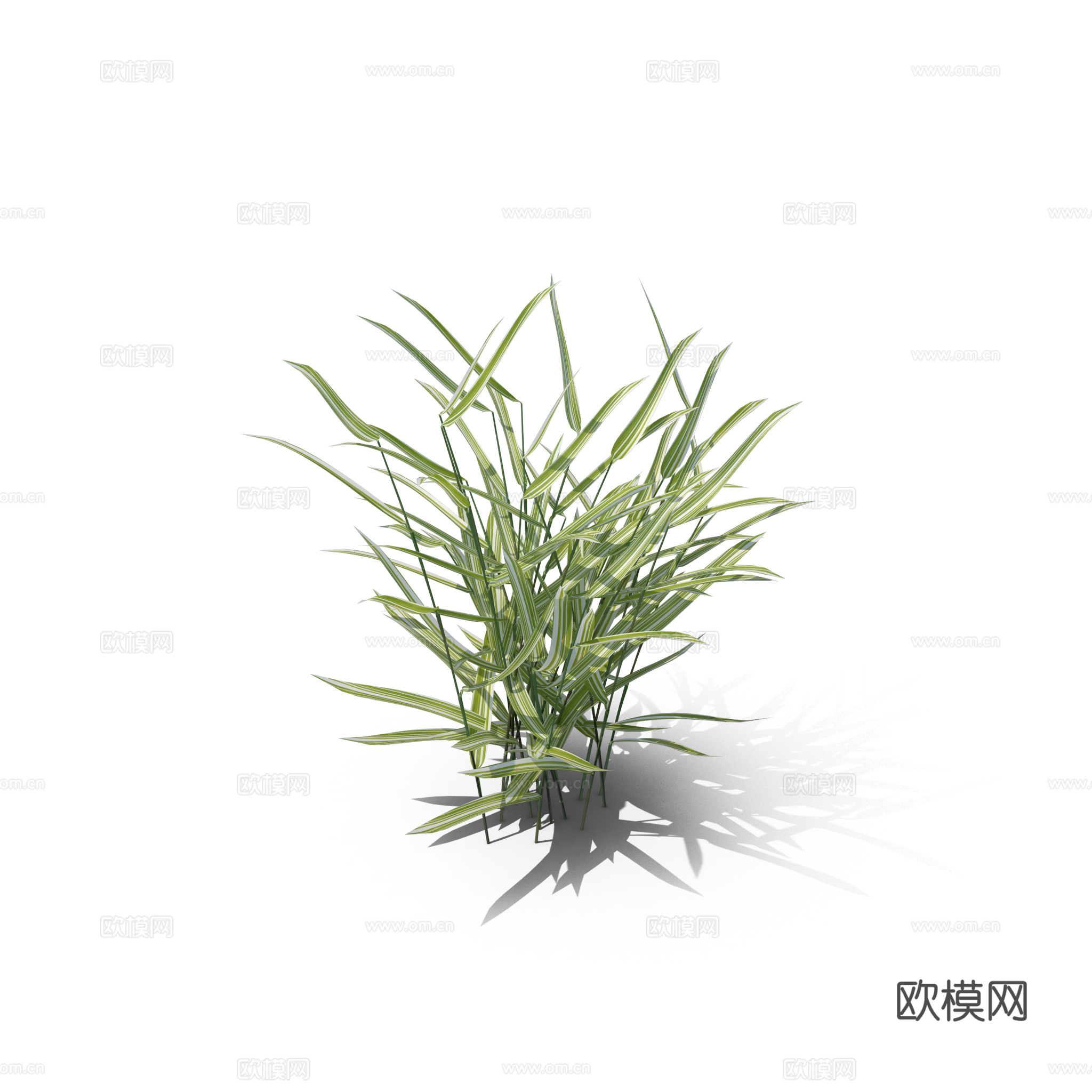 现代花草植物PNG免抠