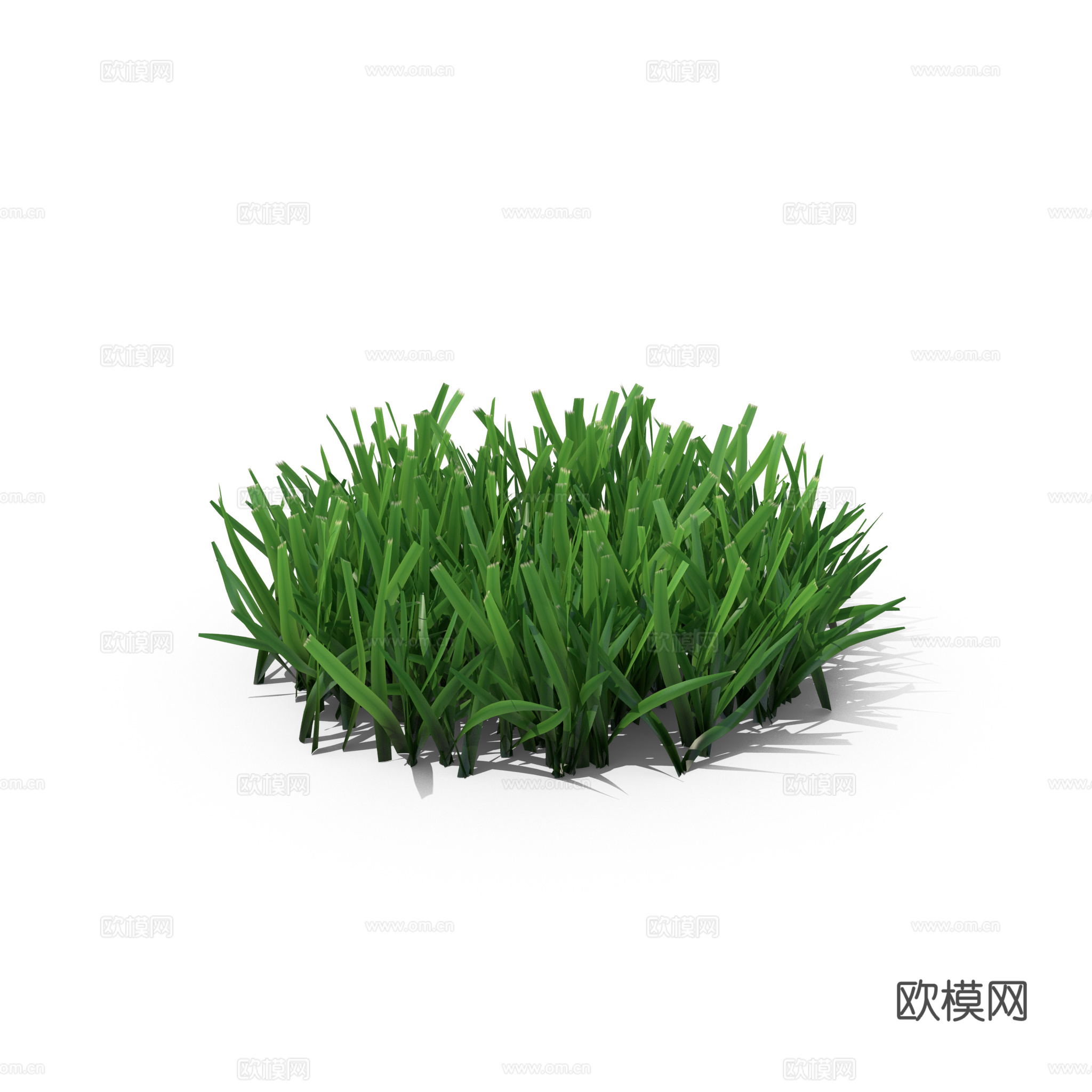 现代花草植物PNG免抠