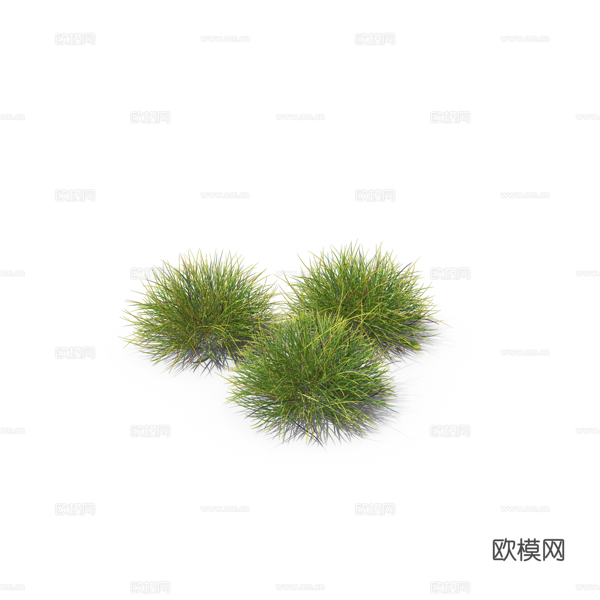 现代花草植物PNG免抠