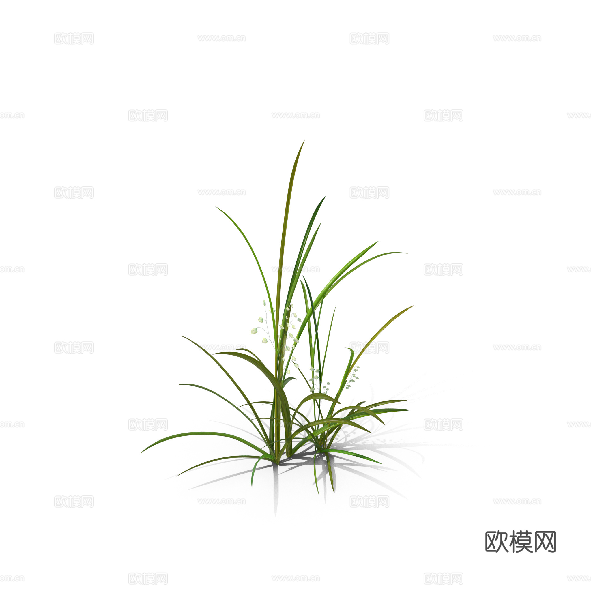 现代花草植物PNG免抠下载