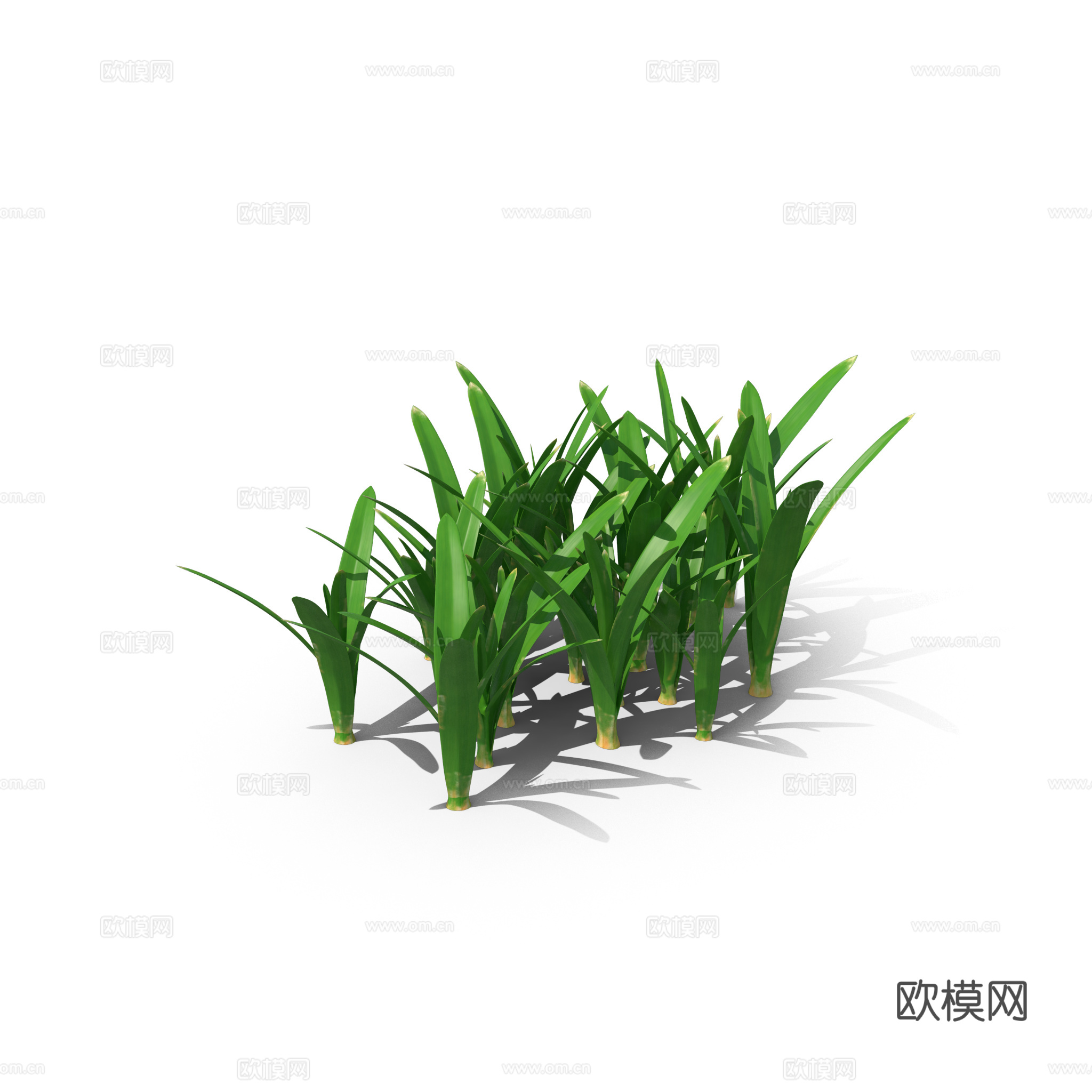 现代花草植物PNG免抠