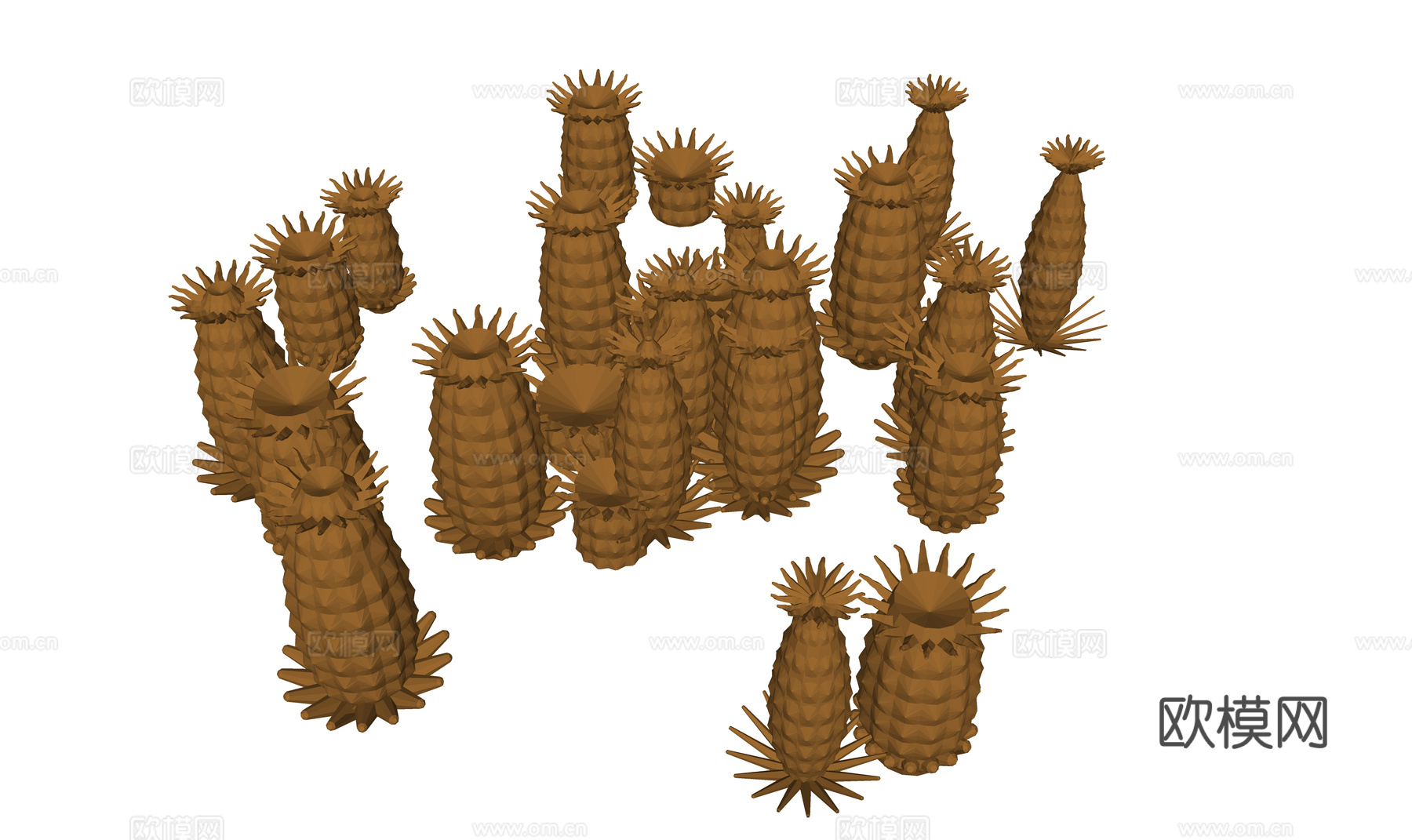 海洋植物 海葵 藻类植物3d模型下载（渲染图2）