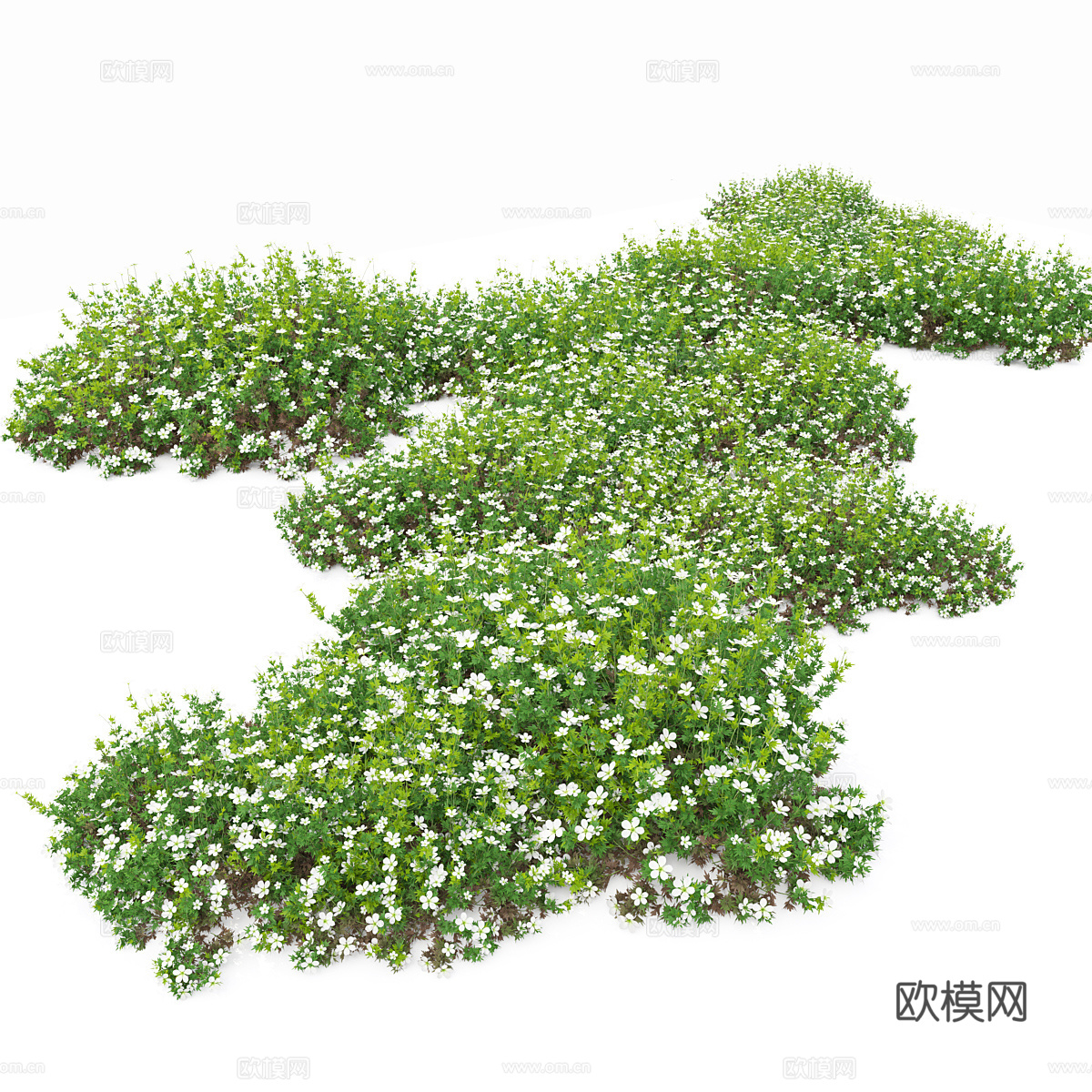 虎耳草3d模型下载（渲染图3）