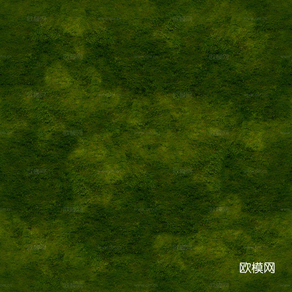 草地 草皮 地面 地表 俯视绿地 森林 苔藓 花草 花卉鲜花