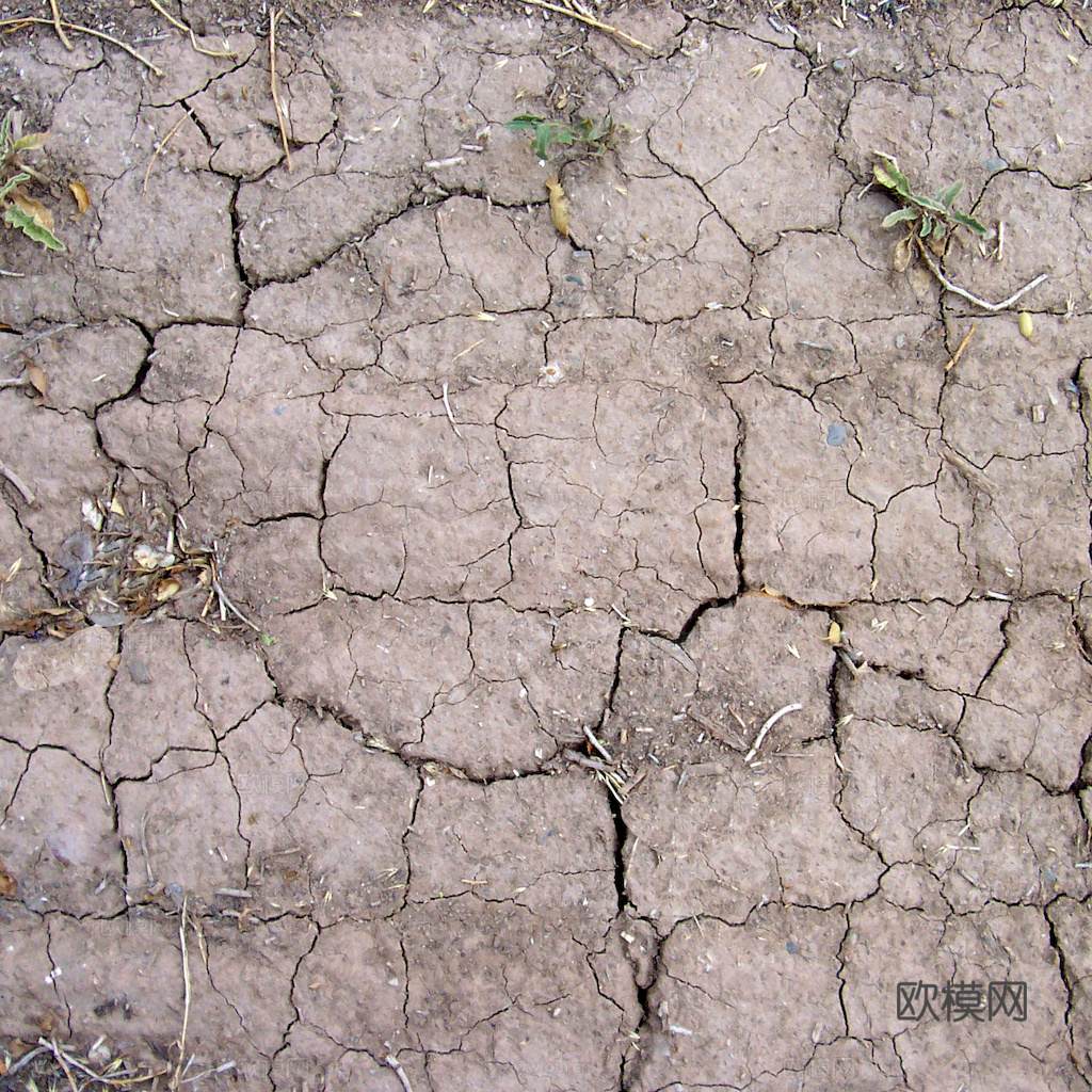 沙土地面 地表 土地 龟裂裂纹泥土农田