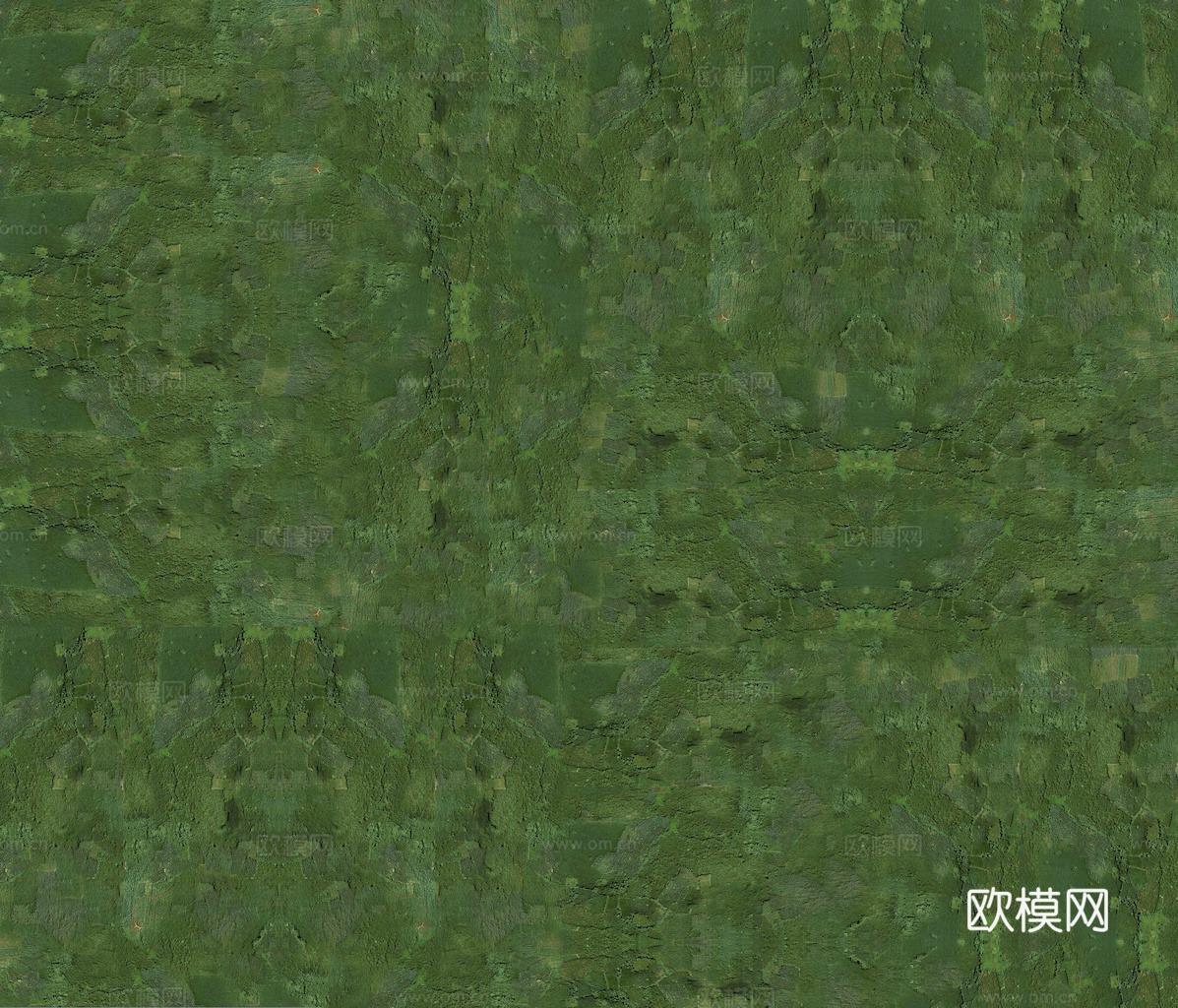 草地 草皮 地面 地表 俯视绿地 森林 苔藓 花草 花卉鲜花下载