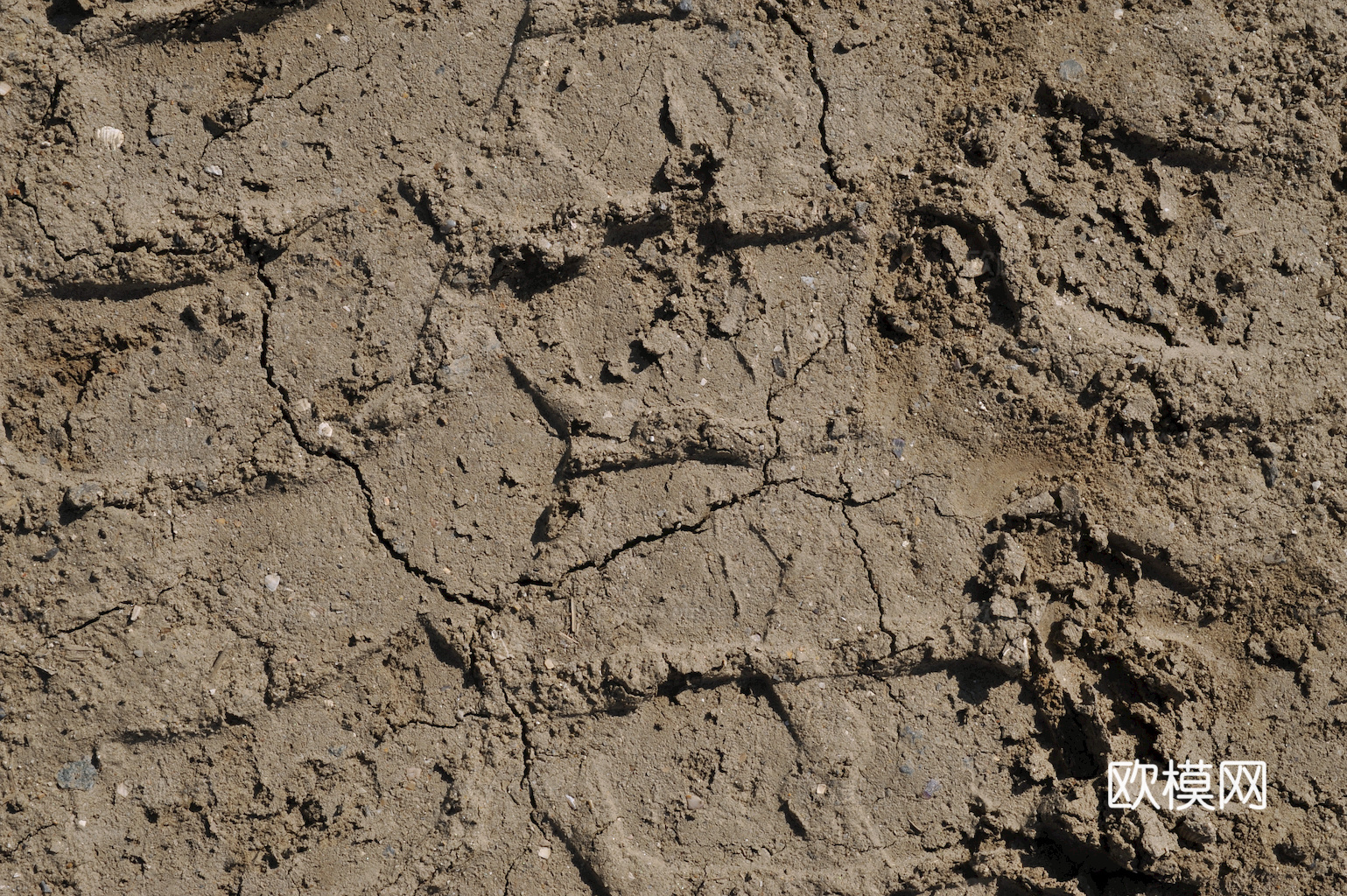 沙土地面 地表 土地 龟裂裂纹泥土农田