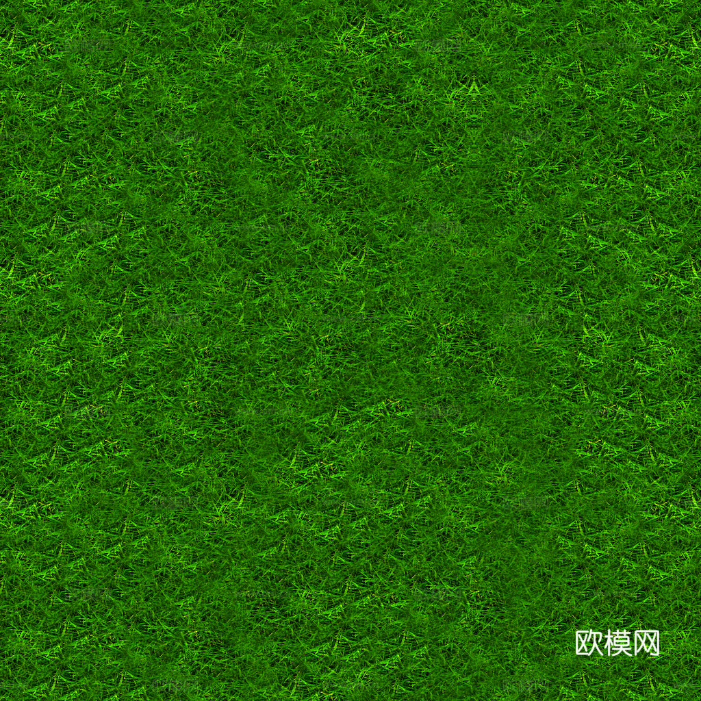 草地 草皮 地面 地表 俯视绿地 森林 苔藓 花草 花卉鲜花