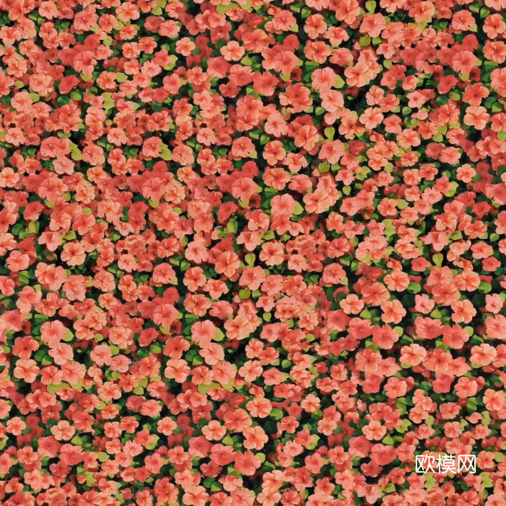 草地 草皮 地面 地表 俯视绿地 森林 苔藓 花草 花卉鲜花