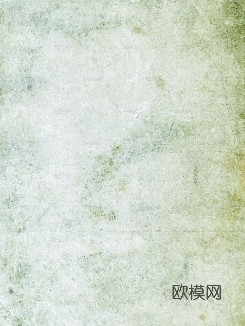 草地 草皮 地面 地表 俯视绿地 森林 苔藓 花草 花卉鲜花下载