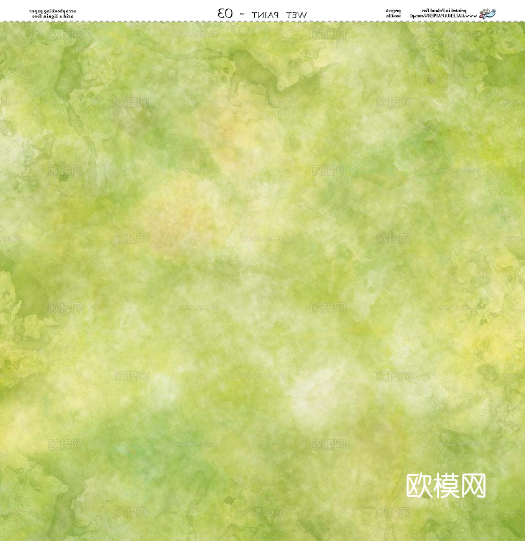 草地 草皮 地面 地表 俯视绿地 森林 苔藓 花草 花卉鲜花下载