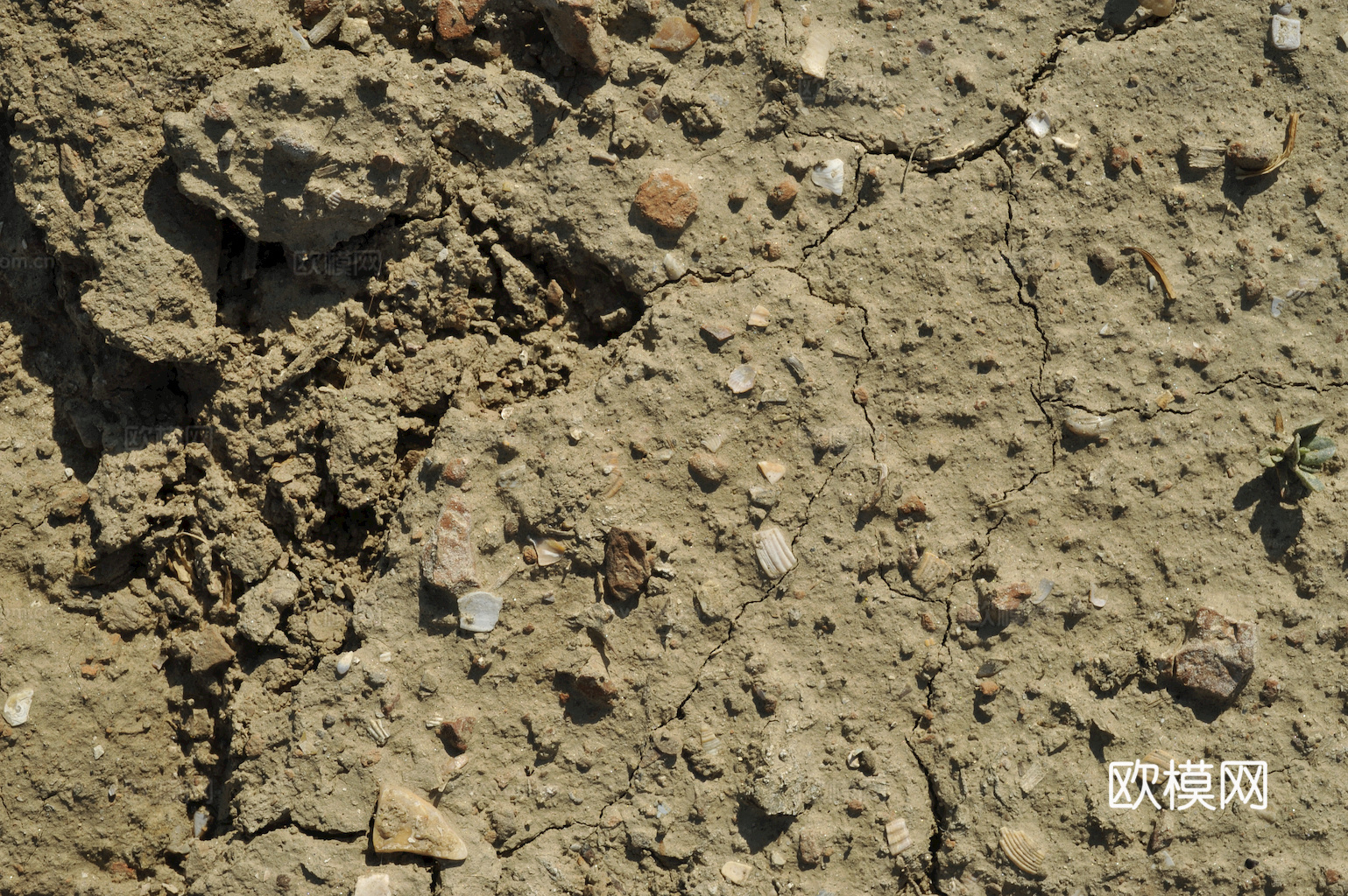 沙土地面 地表 土地 龟裂裂纹泥土农田