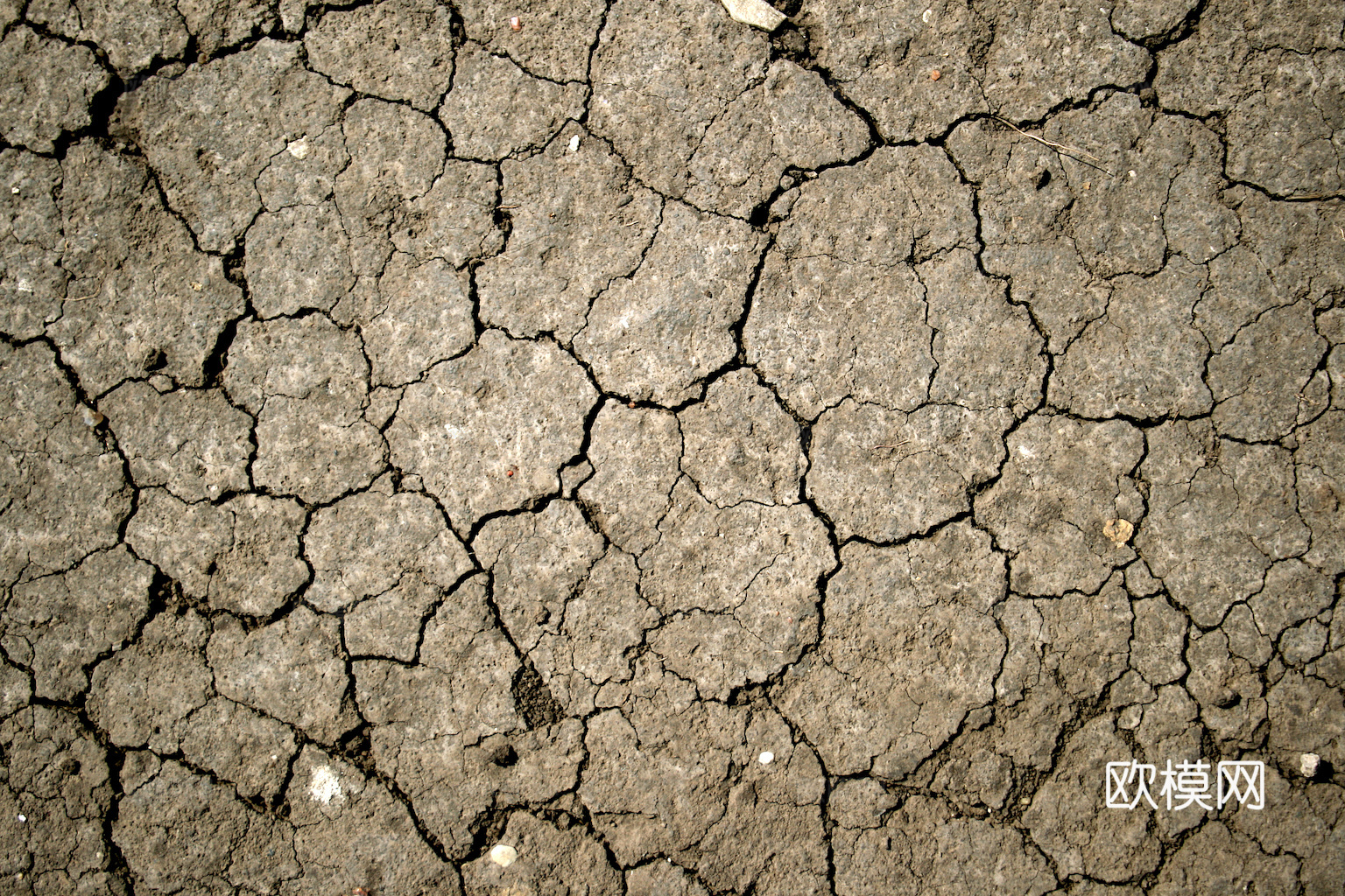 沙土地面 地表 土地 龟裂裂纹泥土农田下载