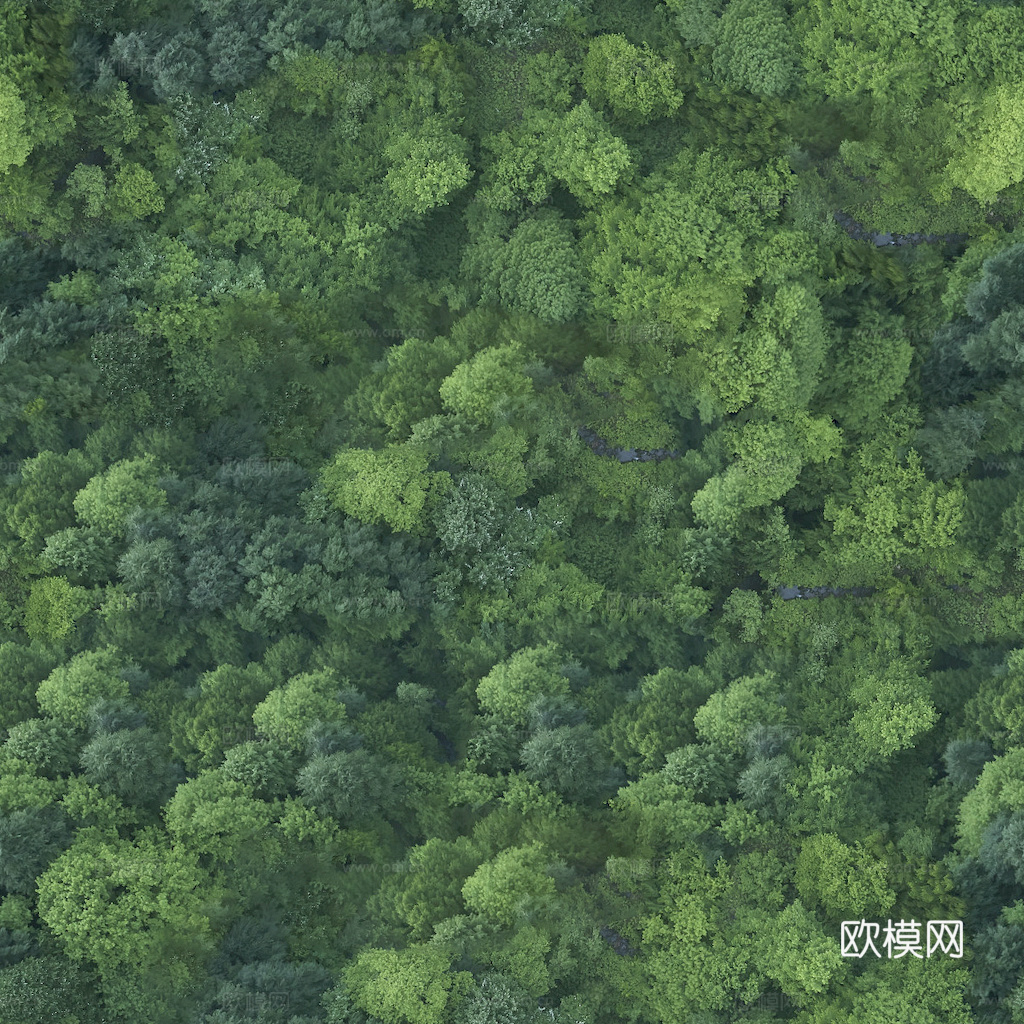 草地 草皮 地面 地表 俯视绿地 森林 苔藓 花草 花卉鲜花下载