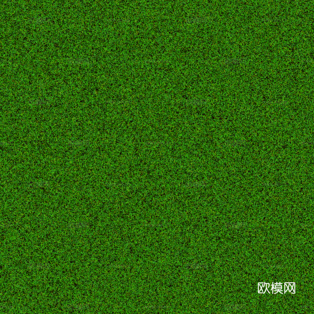 草地 草皮 地面 地表 俯视绿地 森林 苔藓 花草 花卉鲜花下载