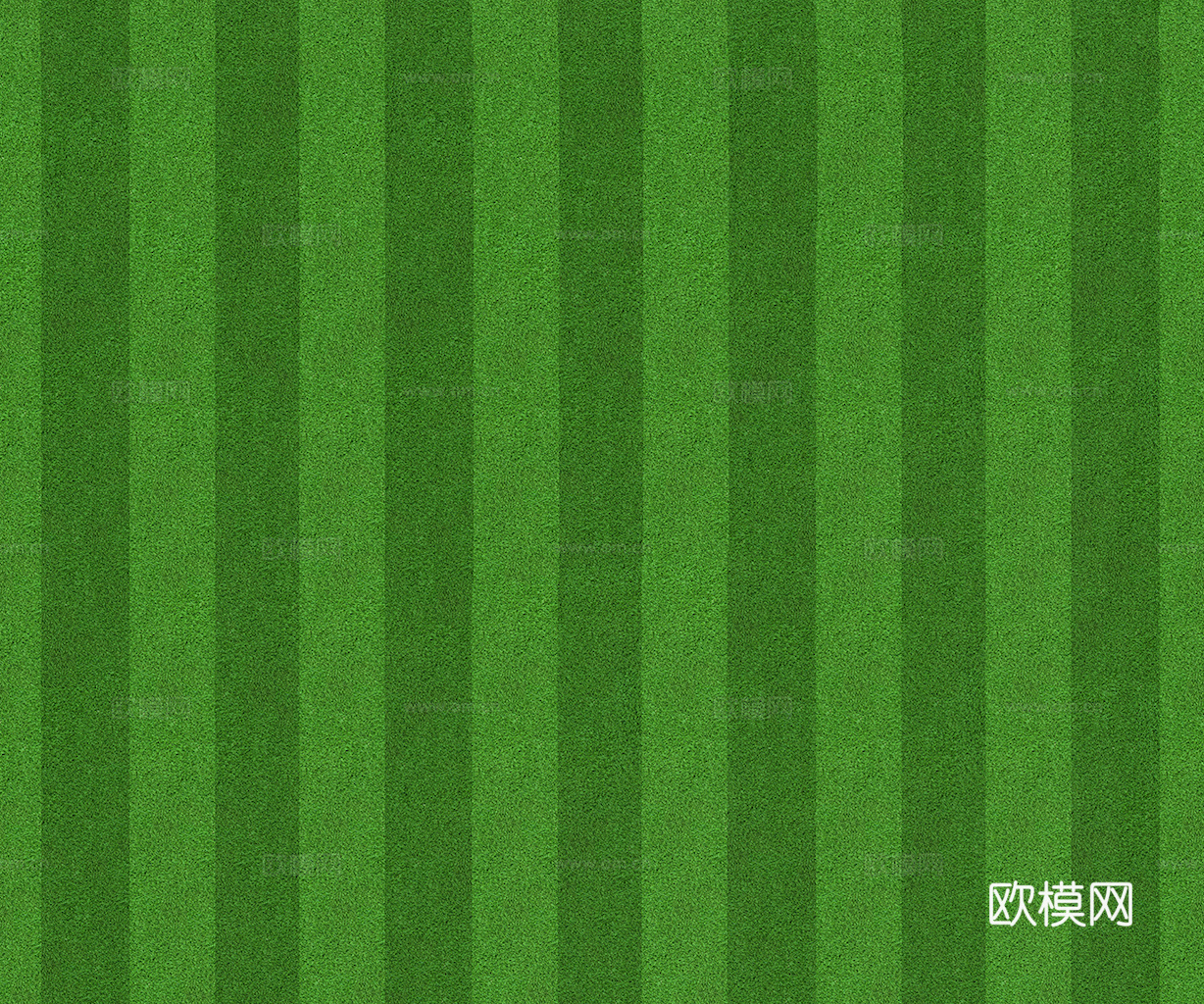 草地 草皮 地面 地表 俯视绿地 森林 苔藓 花草 花卉鲜花下载