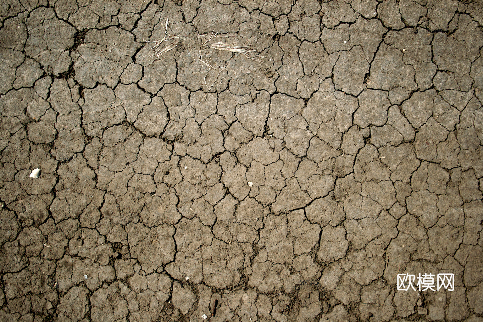 沙土地面 地表 土地 龟裂裂纹泥土农田