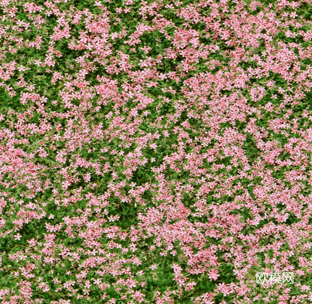 草地 草皮 地面 地表 俯视绿地 森林 苔藓 花草 花卉鲜花