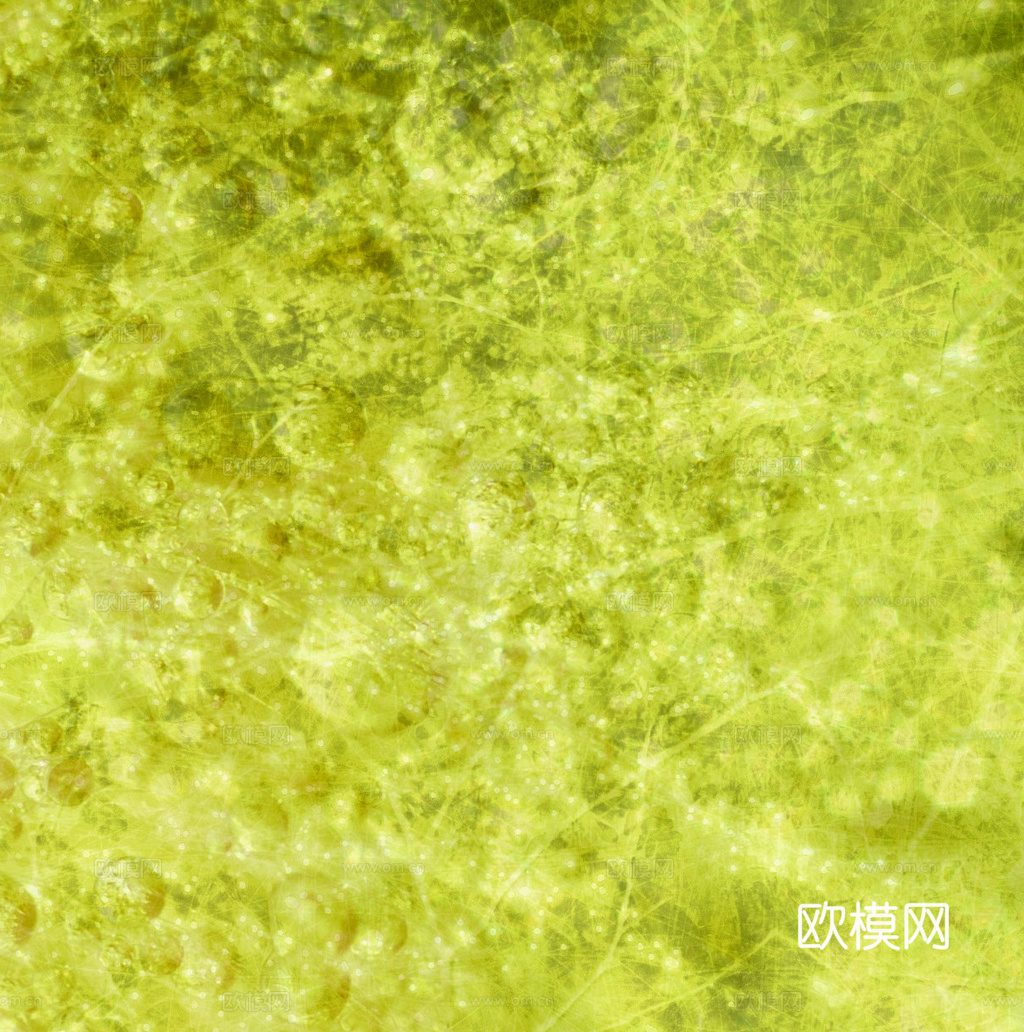 草地 草皮 地面 地表 俯视绿地 森林 苔藓 花草 花卉鲜花下载