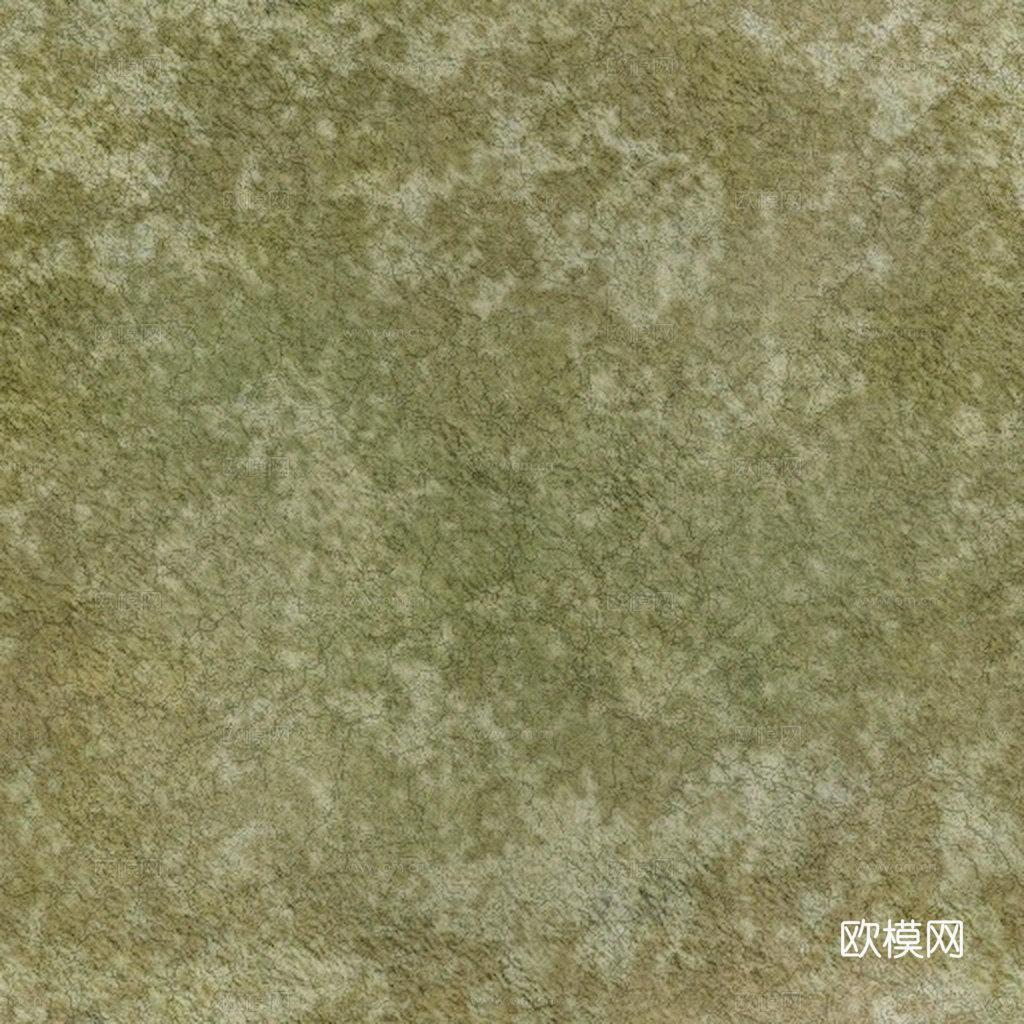 草地 草皮 地面 地表 俯视绿地 森林 苔藓 花草 花卉鲜花下载