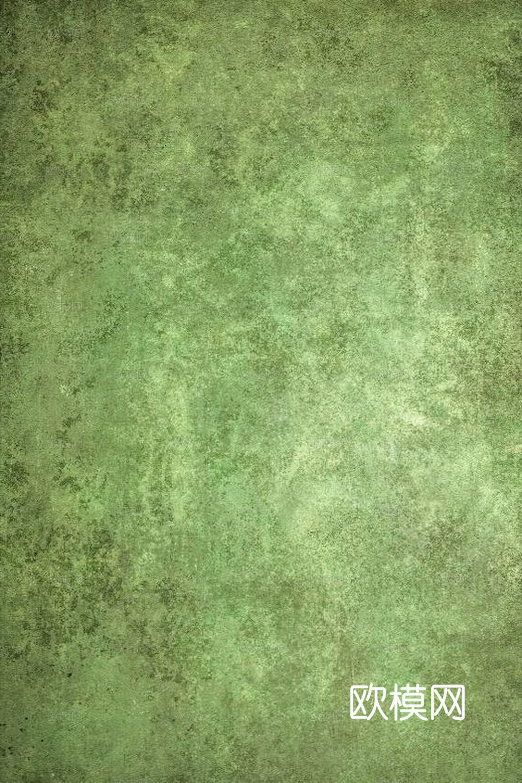 草地 草皮 地面 地表 俯视绿地 森林 苔藓 花草 花卉鲜花下载