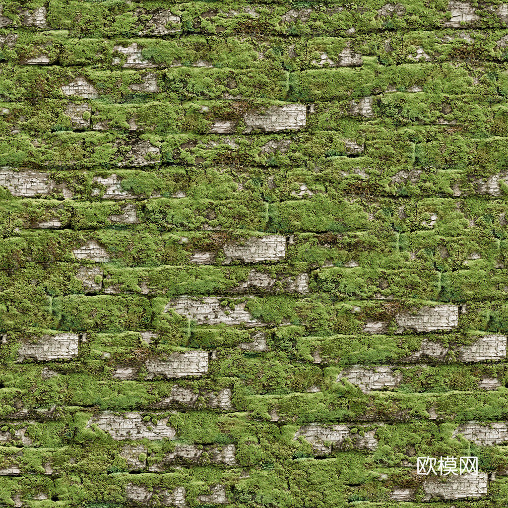 草地 草皮 地面 地表 俯视绿地 森林 苔藓 花草 花卉鲜花下载