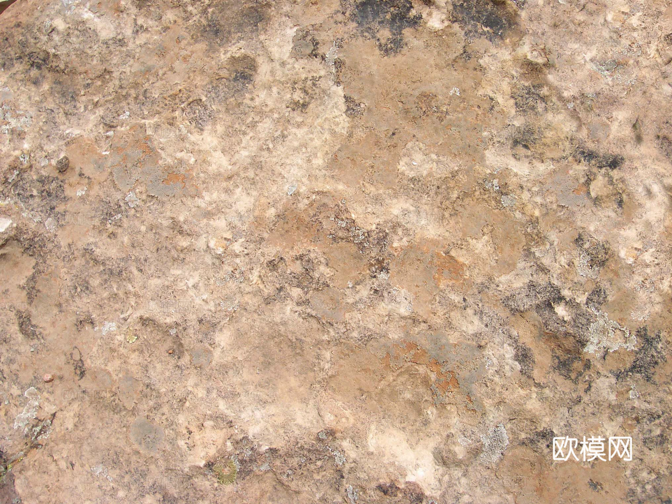 沙土地面 地表 土地 龟裂裂纹泥土农田